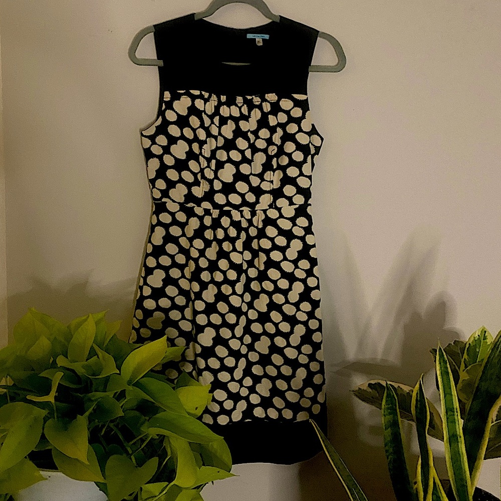 LEIFNOTES Black and White Dress 🪩